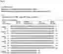 Fig. 05 - Chimeric antigen receptors and CAR-T cells that bind CXCR5 and methods of use thereof to treat medical disorders