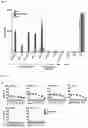 Fig. 12 - Chimeric antigen receptors and CAR-T cells that bind CXCR5 and methods of use thereof to treat medical disorders