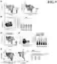 Fig. 04 - Methods and compositions for overcoming immunosuppression