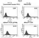 Fig. 03 - IgG binding peptides and multifunctional antigen-binding proteins comprising the same