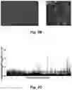 Fig. 04 - Tumor selective macropinocytosis-dependent rapidly internalizing antibodies