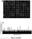 Fig. 07 - Tumor selective macropinocytosis-dependent rapidly internalizing antibodies