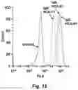 Fig. 25 - Tumor selective macropinocytosis-dependent rapidly internalizing antibodies
