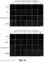 Fig. 27 - Tumor selective macropinocytosis-dependent rapidly internalizing antibodies