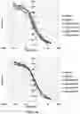 Fig. 06 - Polynucleotides encoding humanized antibodies against CEACAM1