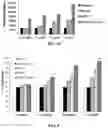 Fig. 09 - Polynucleotides encoding humanized antibodies against CEACAM1