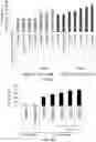 Fig. 12 - Polynucleotides encoding humanized antibodies against CEACAM1