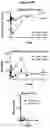 Fig. 25 - Heterodimeric antibodies that bind CD3 and PSMA