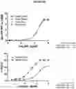 Fig. 35 - Heterodimeric antibodies that bind CD3 and PSMA