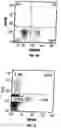Fig. 03 - Anti-MCAM Antibodies And Associated Methods Of Use