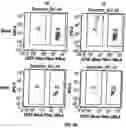 Fig. 08 - Anti-MCAM Antibodies And Associated Methods Of Use