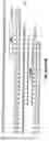 Fig. 12 - Anti-MCAM Antibodies And Associated Methods Of Use