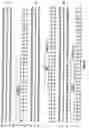 Fig. 20 - Anti-MCAM Antibodies And Associated Methods Of Use