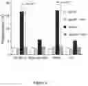 Fig. 07 - Methods and materials for treating cancer
