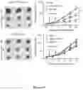 Fig. 13 - Methods and materials for treating cancer