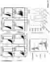Fig. 18 - Methods and materials for treating cancer