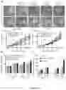 Fig. 30 - Methods and materials for treating cancer