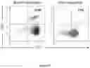 Fig. 32 - Methods and materials for treating cancer