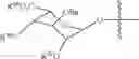 Fig. 21 - Expedient synthesis of core disaccharide building blocks from natural polysaccharides for heparan sulfate oligosaccharide assembly