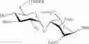 Fig. 44 - Expedient synthesis of core disaccharide building blocks from natural polysaccharides for heparan sulfate oligosaccharide assembly
