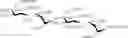 Fig. 56 - Expedient synthesis of core disaccharide building blocks from natural polysaccharides for heparan sulfate oligosaccharide assembly