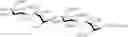 Fig. 59 - Expedient synthesis of core disaccharide building blocks from natural polysaccharides for heparan sulfate oligosaccharide assembly
