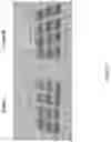 Fig. 10 - Compositions comprising glucose and hemicellulose and their use