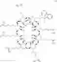 Fig. 05 - Process for making sugammadex