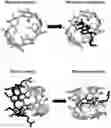 Fig. 01 - Cyclodextrin dimers, compositions thereof, and uses thereof