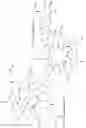 Fig. 06 - Cyclodextrin dimers, compositions thereof, and uses thereof
