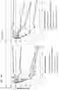 Fig. 178 - Cyclodextrin dimers, compositions thereof, and uses thereof