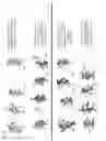 Fig. 40 - Cyclodextrin dimers, compositions thereof, and uses thereof