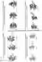 Fig. 49 - Cyclodextrin dimers, compositions thereof, and uses thereof