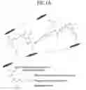 Fig. 02 - Self-healing polymer network containing physical crosslinker, composition therefor, and optical element comprising the same