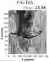 Fig. 13 - Self-healing polymer network containing physical crosslinker, composition therefor, and optical element comprising the same