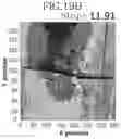 Fig. 15 - Self-healing polymer network containing physical crosslinker, composition therefor, and optical element comprising the same