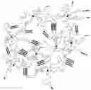 Fig. 01 - Star isobutylene-based thermoplastic elastomers
