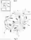 Fig. 04 - Star isobutylene-based thermoplastic elastomers