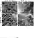 Fig. 07 - Carbon nanotube-functionalized reverse thermal gel and methods of forming and using same