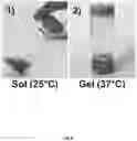 Fig. 09 - Carbon nanotube-functionalized reverse thermal gel and methods of forming and using same