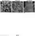 Fig. 15 - Carbon nanotube-functionalized reverse thermal gel and methods of forming and using same