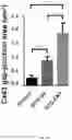 Fig. 19 - Carbon nanotube-functionalized reverse thermal gel and methods of forming and using same