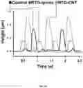 Fig. 22 - Carbon nanotube-functionalized reverse thermal gel and methods of forming and using same