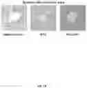 Fig. 24 - Carbon nanotube-functionalized reverse thermal gel and methods of forming and using same