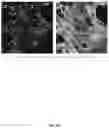Fig. 26 - Carbon nanotube-functionalized reverse thermal gel and methods of forming and using same