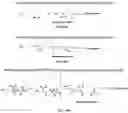Fig. 14 - Radical cascade-enabled synthesis of precision polymers with complex main-chain structures