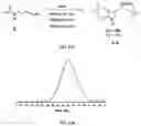 Fig. 18 - Radical cascade-enabled synthesis of precision polymers with complex main-chain structures