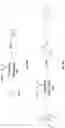 Fig. 29 - Radical cascade-enabled synthesis of precision polymers with complex main-chain structures