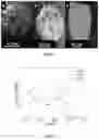 Fig. 05 - Films derived from two or more chemically distinct block copolymers, methods of making same, and uses thereof