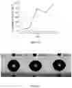 Fig. 16 - Films derived from two or more chemically distinct block copolymers, methods of making same, and uses thereof